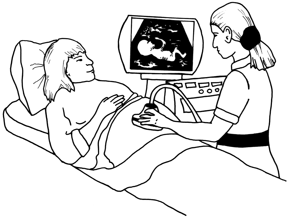 scan ultra sound